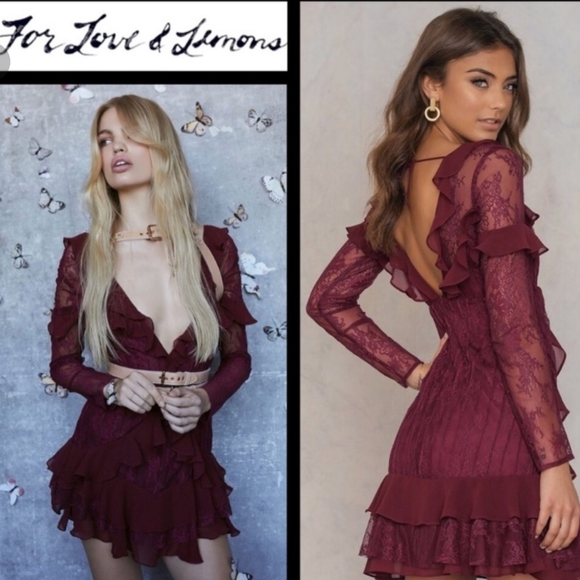 🍋For Love and Lemons Daphne Dress - Picture 16 of 16